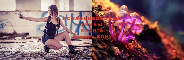 молекула духа Нягань