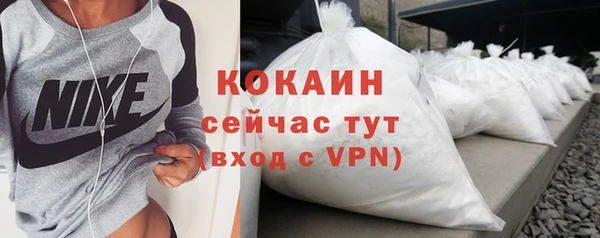 молекула духа Нягань