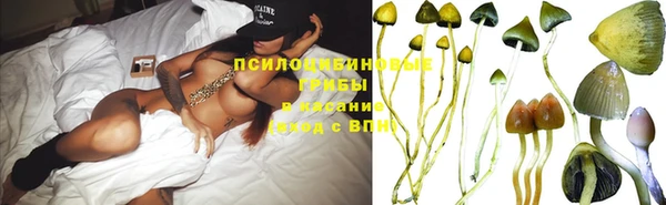 кристаллы Осинники