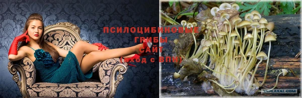 гашишное масло Осташков