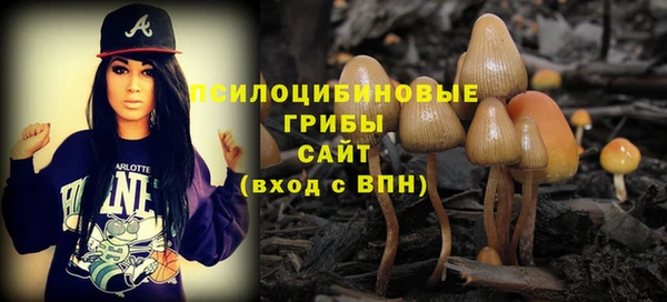 прущие грибы Остров