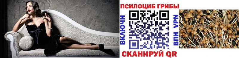 дарк нет какой сайт  Зима  Псилоцибиновые грибы Cubensis 