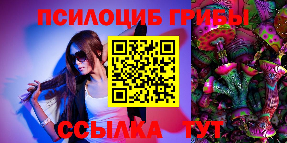 Псилоцибиновые грибы прущие грибы Зима