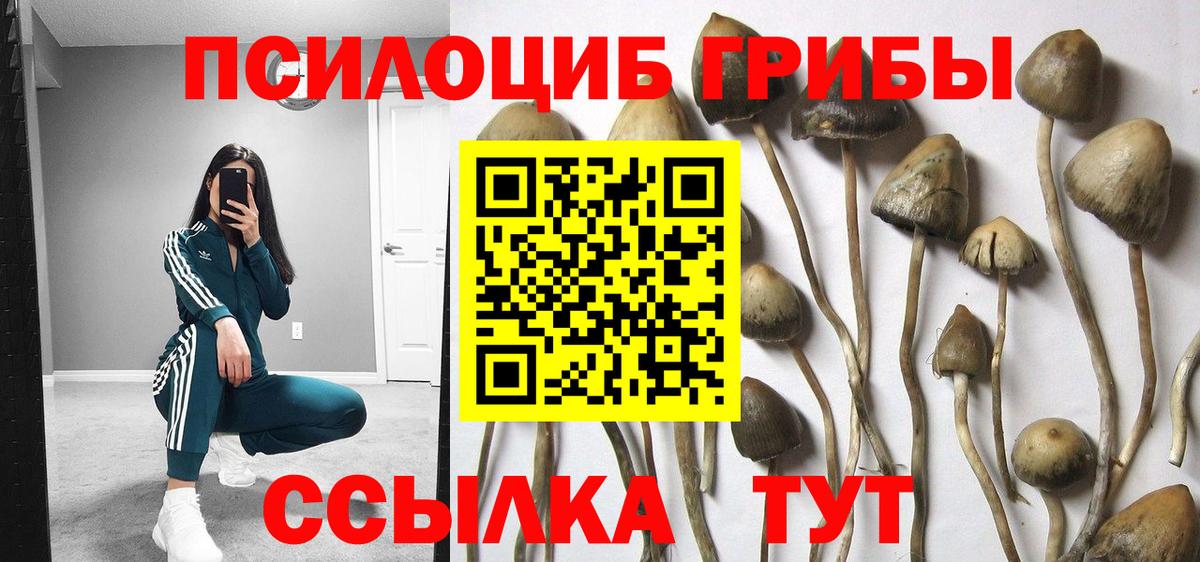 Галлюциногенные грибы ЛСД Зима