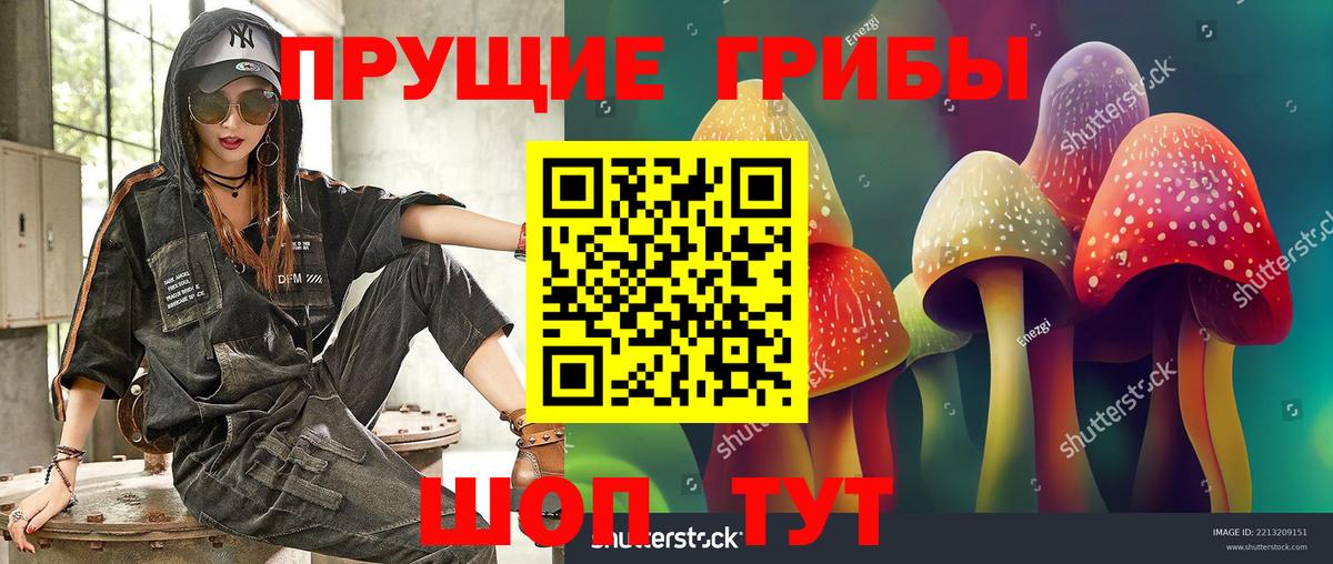 Зима  Галлюциногенные грибы прущие грибы  Вход с VPN 