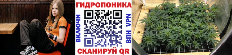 как найти закладки  Зима  это официальный сайт  Бошки марихуана LSD WEED  omg ссылки 